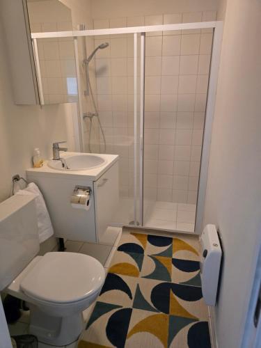 a bathroom with a toilet and a sink and a shower at Brussels square in Brussels