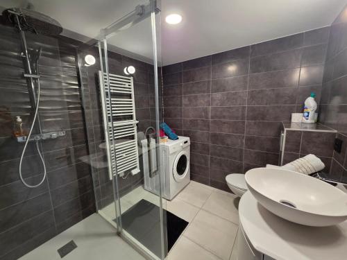 a bathroom with a shower and a toilet and a washing machine at Châtel-guyon : Appart cosy avec place de parking et piscine près des thermes in Châtel-Guyon