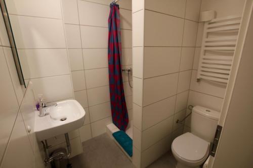 a bathroom with a toilet and a sink and a shower at Fewo-Baunatal / Ferienwohnung "Am Pilgerbach" in Baunatal