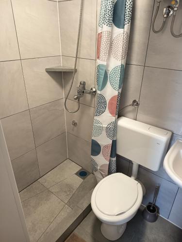 a small bathroom with a toilet and a shower at Sleepover Room K&M in Novoselec