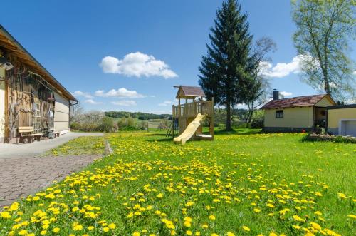 un parco giochi con uno scivolo in un campo di denti di leone di Fritzerhof a Gössweinstein
