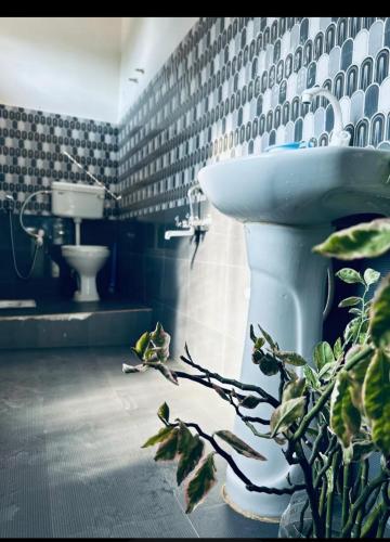 a bathroom with a sink and a plant at Homestay in Tezpur