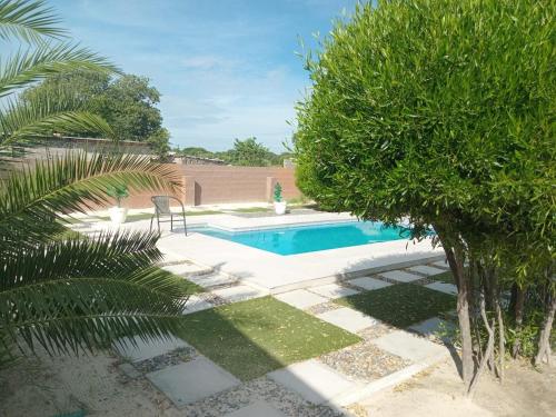 a swimming pool in a yard with a tree at Maun East Gate Guesthouse in Maun