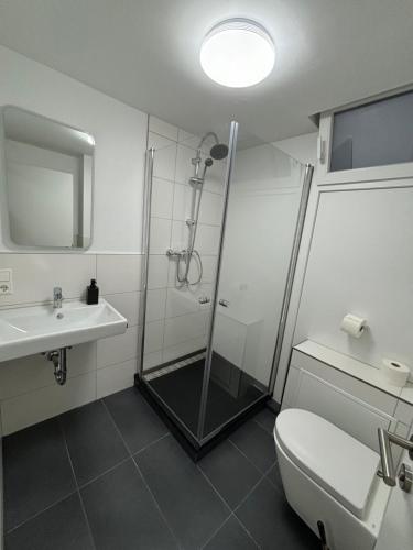 a bathroom with a shower and a toilet and a sink at AG Wohnung Fellbach Nr 3 in Fellbach