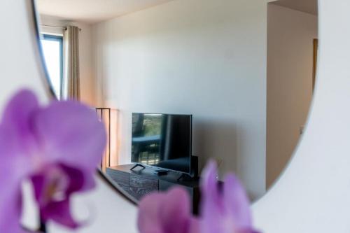 Swiss Green Appartement Cosy et Spacieux