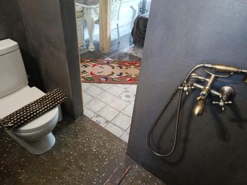a bathroom with a toilet and a shower at Αγροτικό σπίτι agrikia με θέα στο βουνό πάρκινγκ και δωρεάν WiFi in Arachova