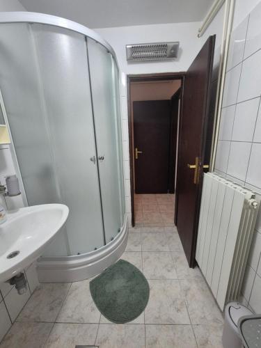 a bathroom with a shower and a sink and a toilet at Apartments Makin by El-Pi Tours in Njivice