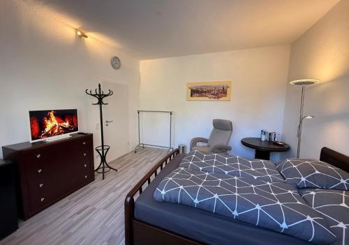 a bedroom with a bed and a flat screen tv at Ruhiges Apartment Meerane in Meerane