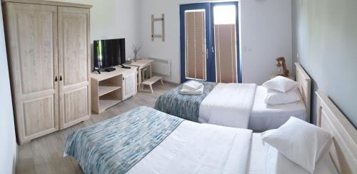 a hotel room with two beds and a television at Pensiunea NEST in Dunavăţu de Jos