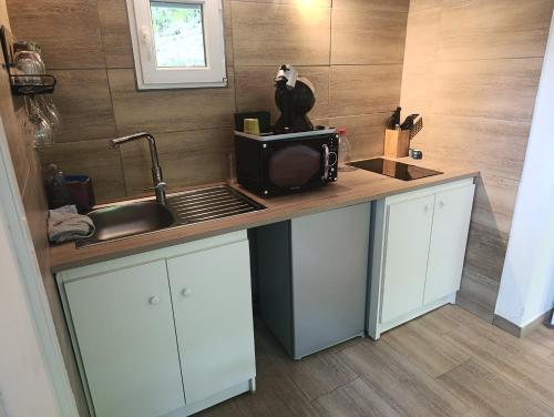 a kitchen counter with a sink and a microwave at studio cosy en pleine forêt in Anduze