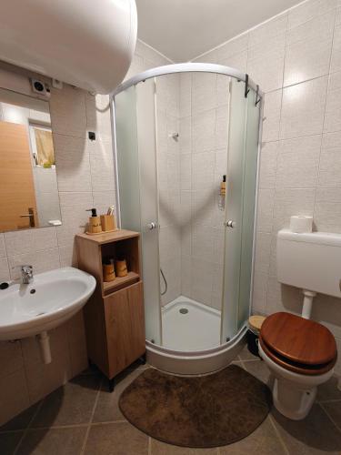 a bathroom with a shower and a toilet and a sink at Počitniška hiša Kuferland in Dobrovnik