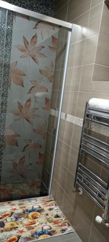 a shower in a bathroom with a floral wall at Casa Sheila in Mahmudia