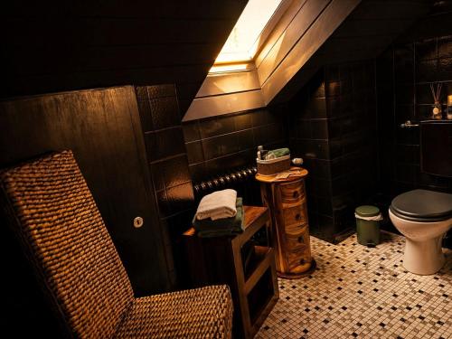 a bathroom with a toilet and a sink at Emotion Apartments- BDSM Apartment mit privater Sauna in Vlotho