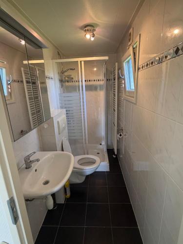 a bathroom with a white toilet and a sink at Prachtig chalet in Koudum
