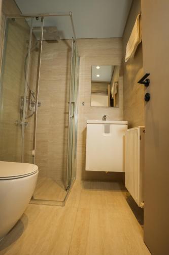 a bathroom with a shower and a toilet and a sink at Pissouriana hotel Apartments in Pissouri