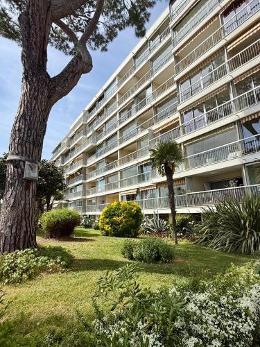 Vacances paradisiaques, Plage Cannes boccacabana, studio