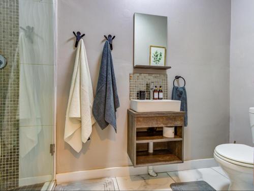 a bathroom with a shower and a sink and a mirror at Wild Tree Lodge in Benoni