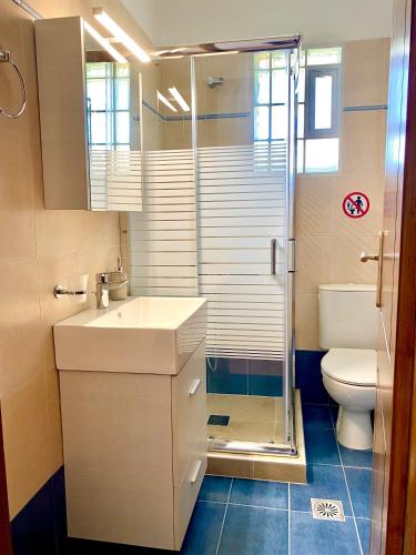 ein Badezimmer mit Toilette, Waschbecken und Dusche in der Unterkunft Mati Kat Studios in Kala Nera