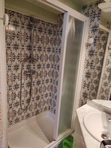 a bathroom with a shower and a sink at L'Oursonnière de la Rende in Quérigut