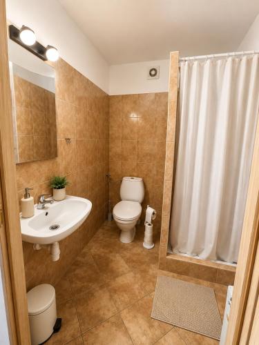 a bathroom with a toilet and a sink and a shower at Sielanka nad Junem in Mrągowo