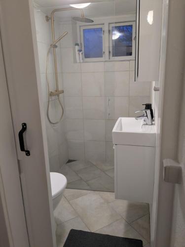 a bathroom with a shower and a toilet and a sink at 13min boxen, Legoland43min, MCH10min in Herning
