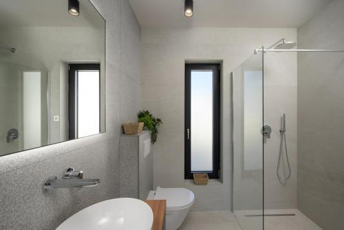 a bathroom with a toilet and a sink and a shower at Villa Modrić by IstriaLux in Trviž