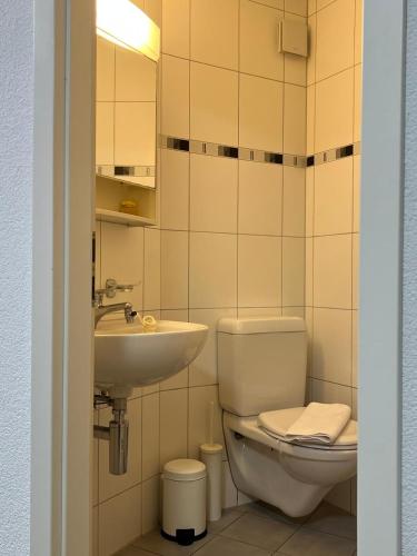 a bathroom with a toilet and a sink at Rawda Ferien Wohnung 2 in Interlaken