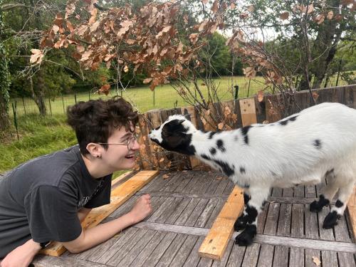 Countryside Views Near Sarlat - Goats, Ducks & Chickens - Farm Experience