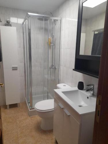 a bathroom with a shower and a toilet and a sink at Apartamento Ocean in Arinaga