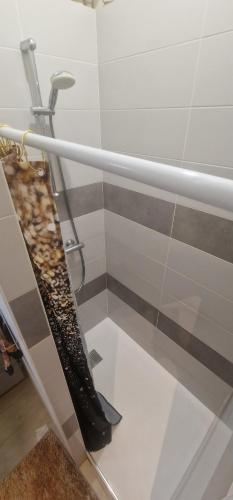 a showeruliculiculiculiculiculiculiculiculiculiculiculiculiculic at Urban Duo Saumur in Saumur
