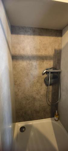 a bathroom with a bath tub with a shower at Cabanon cosy proche centre & plages-3 lits in Taglio-Isolaccio
