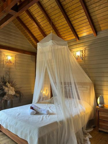 a bed with a mosquito net in a room at Lodge Eden, SPA Privatif in Les Abymes
