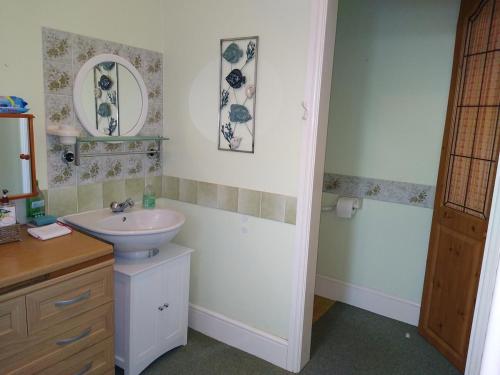 a bathroom with a sink and a mirror at Enstone Homestay in Sidmouth