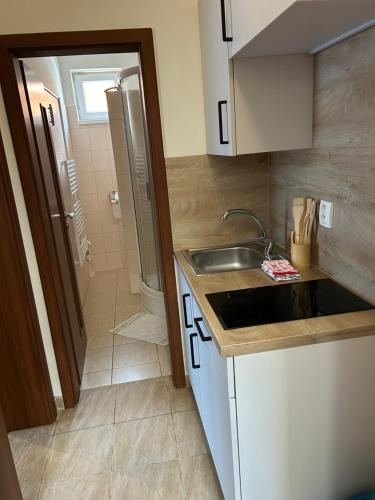 a small kitchen with a sink and a shower at Sentio Inn 2 in Dunajská Streda