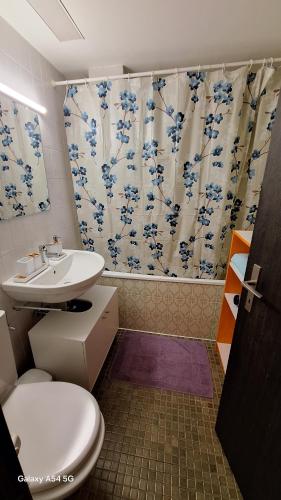 a bathroom with a sink and a toilet and a shower curtain at Messe-clarastrasse -Wohnung in Basel