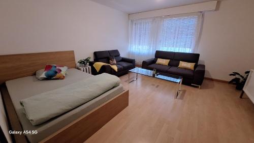 a living room with a bed and a couch at Messe-clarastrasse -Wohnung in Basel