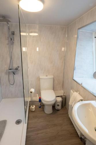 a bathroom with a toilet and a shower and a sink at 1BR Charming Cottage in Central Moffat in Moffat