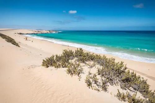Tamarindo 63, dunes and sun