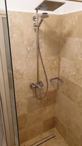 a shower with a hose in a bathroom at Pensiunea NEST in Dunavăţu de Jos