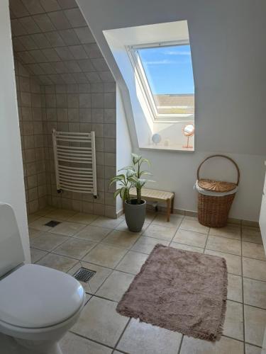 a bathroom with a toilet and a window at Bondegård med havudsigt in Kolding