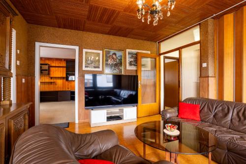 a living room with a couch and a television at Apartma v ograji in Šentjernej