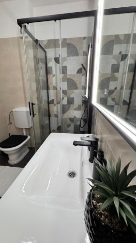 a bathroom with a sink with a potted plant on it at SFE Apartment in Milna