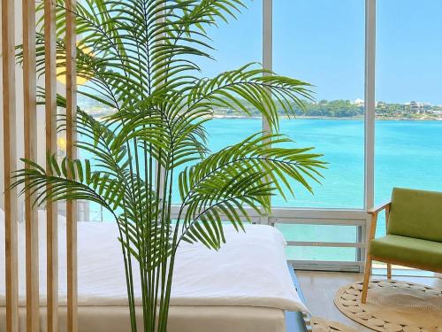 a large green plant in a room with a window at Jeju Badaneomeojip Beach Branch in Jeju