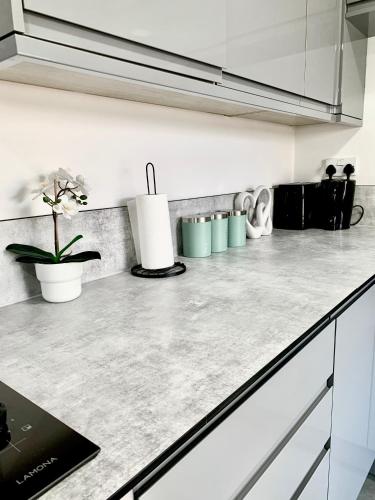 Falcon Crest Lodge - 2BR-Sleeps 7 - Free Parking - Wi-Fi photo 21