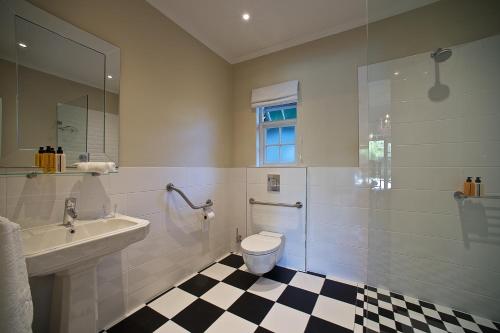 a bathroom with a toilet and a sink and a mirror at Baruch Guesthouse on Lovell in Stellenbosch
