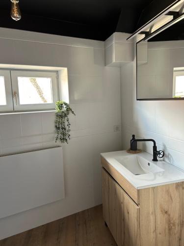 a white bathroom with a sink and a mirror at Escale Pesmoise in Pesmes