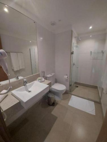 a bathroom with a sink and a toilet and a shower at VISTA AZUL Prime in Domingos Martins