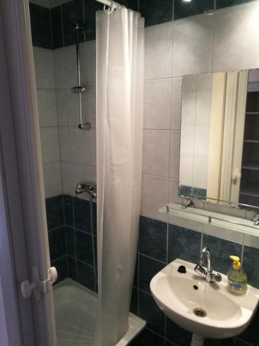 La salle de bains est pourvue d'un lavabo et d'une douche avec rideau de douche. dans l'établissement Mátyás Szállás Panzió, à Szombathely