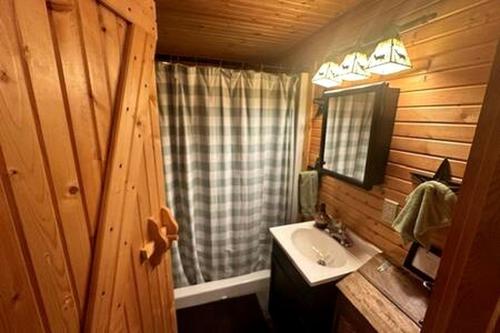 a bathroom with a sink and a mirror at Cedar Gap Hideaway in Indiana in Birdseye