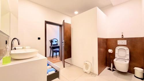 a bathroom with a toilet and a sink at Whirlpool Sauna Pool Bad Ems in Bad Ems